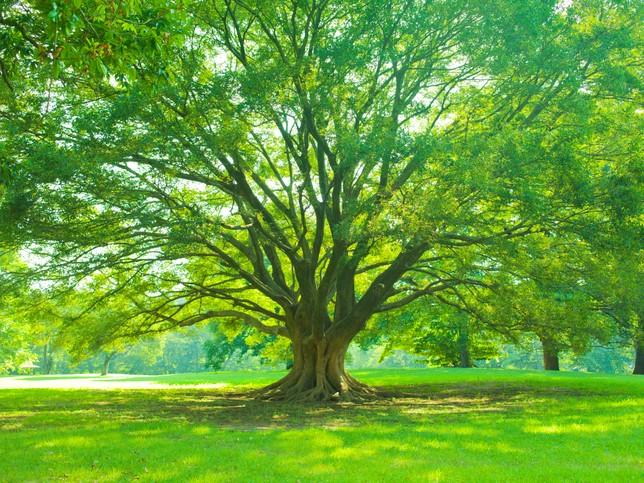 Getting students outdoors can be a huge boon for learning